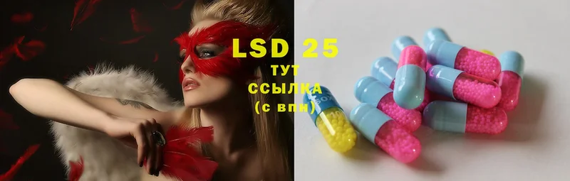 магазин  наркотиков  гидра   Лсд 25 экстази ecstasy  Коряжма 